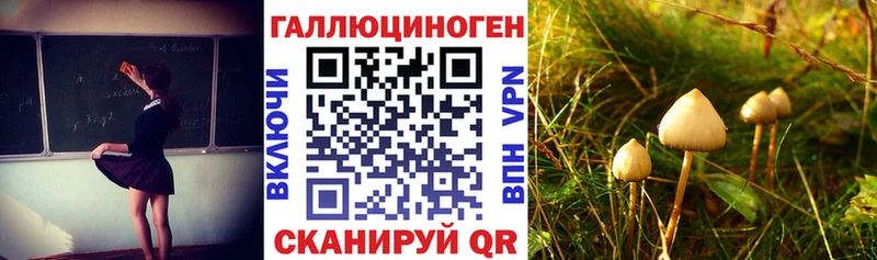 Купить где  Кондопога  Псилоцибиновые грибы мицелий 