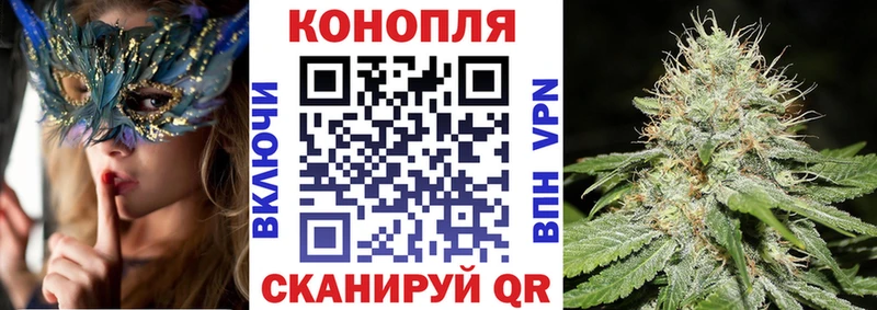 Купить закладки  Кондопога  Бошки Шишки VHQ 